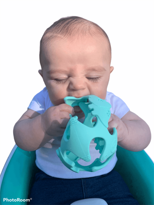 Teething Toy Silicone Dinosaur Ball